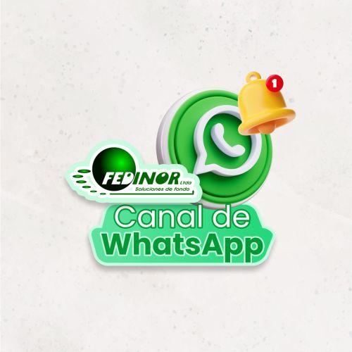 Canal de WhatsApp FEDINOR LTDA