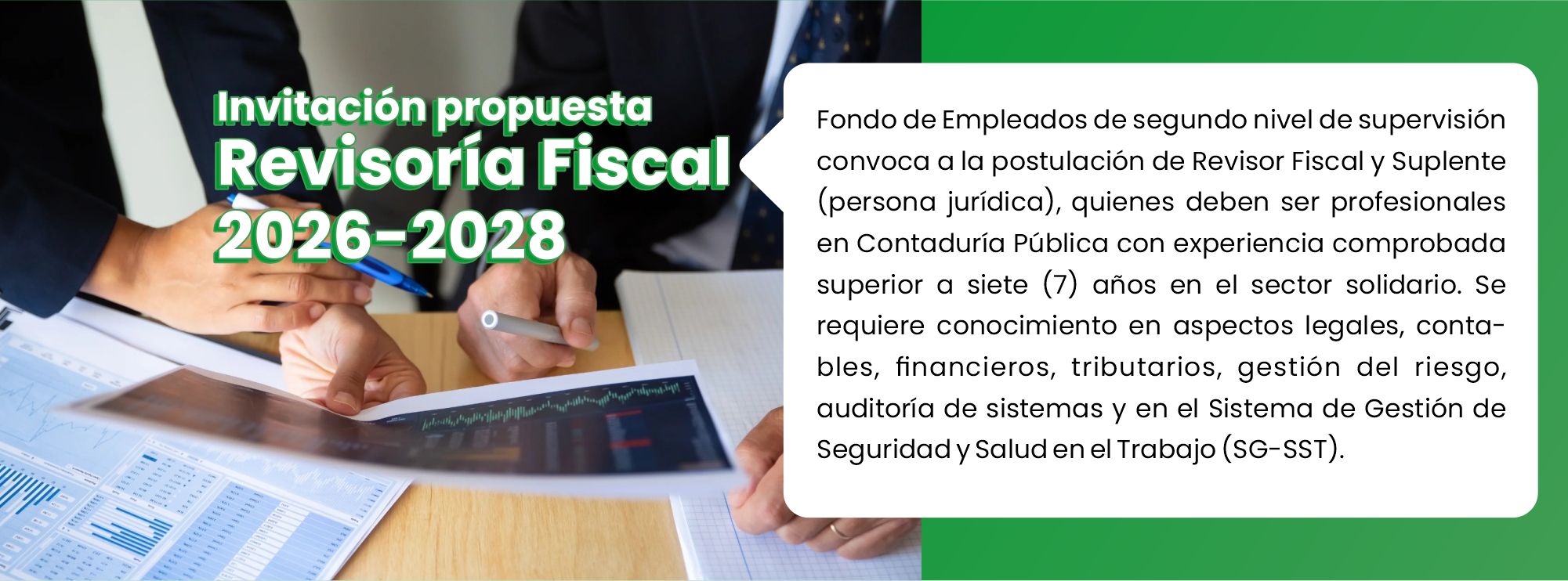 Revisor Fiscal